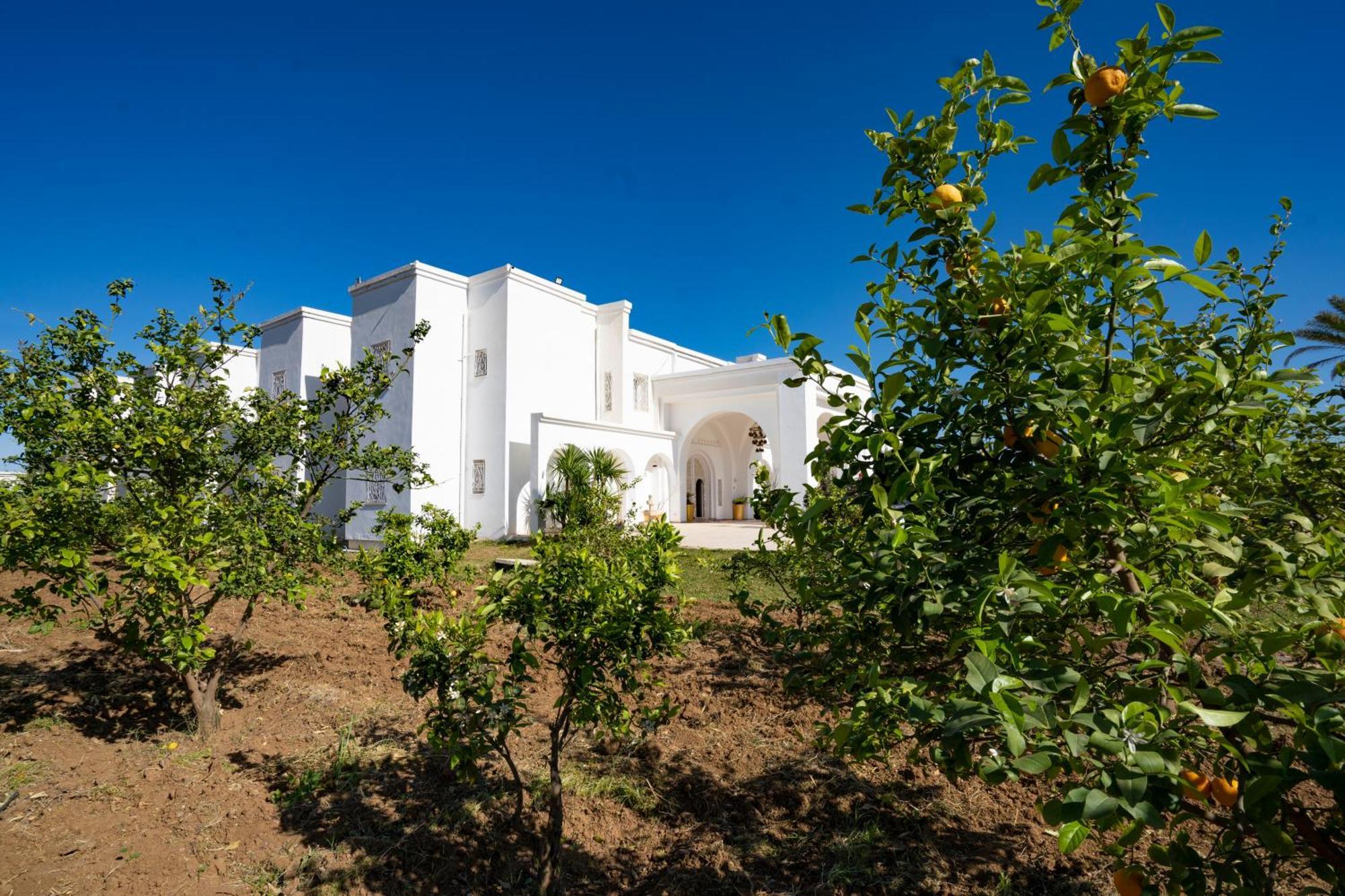 Palais El Molk Concept Hotel And Spa Mornag Buitenkant foto